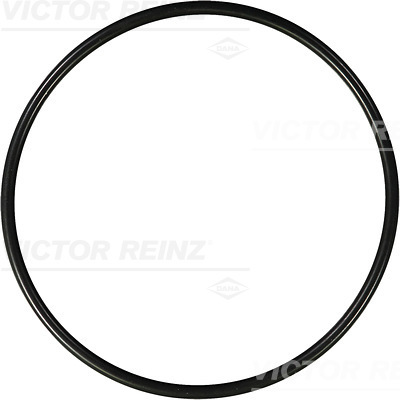 Afdichtring Reinz 40-76570-00