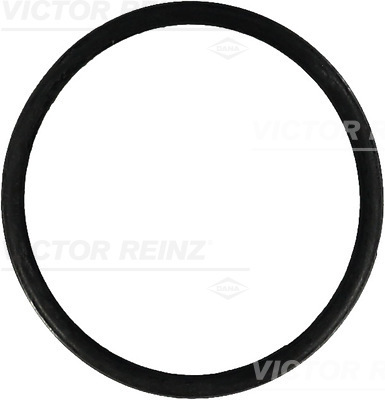 Afdichtring Reinz 40-76571-00