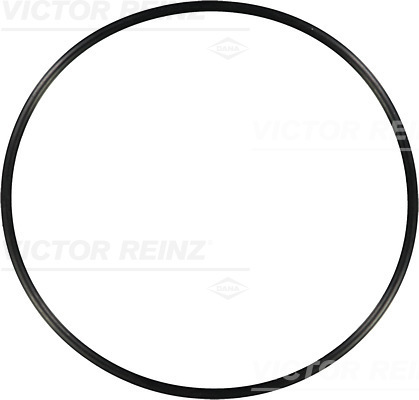 Afdichtring Reinz 40-76603-00