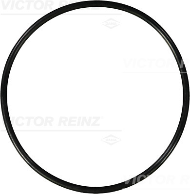 Afdichtring Reinz 40-76696-00