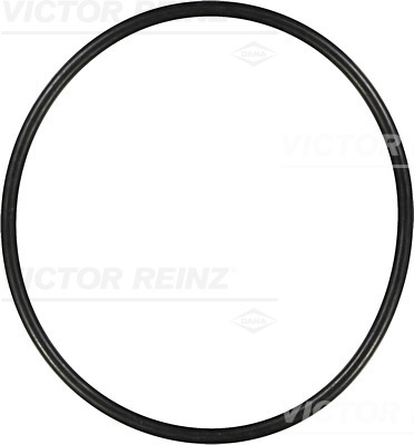 Afdichtring Reinz 40-76871-00