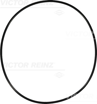 Afdichtring Reinz 40-76905-00