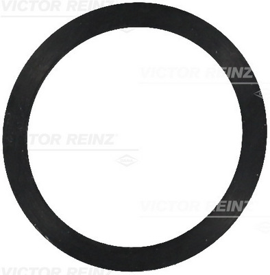 Afdichtring Reinz 40-77245-00
