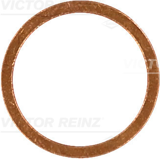 Afdichtring Reinz 41-70167-00
