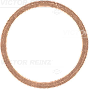 Afdichtring Reinz 41-70180-00