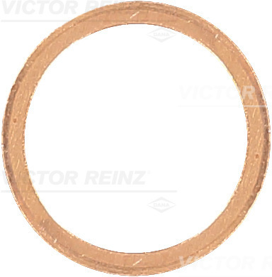Afdichtring Reinz 41-70189-00