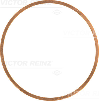 Cilinderkop pakking Reinz 41-70463-10