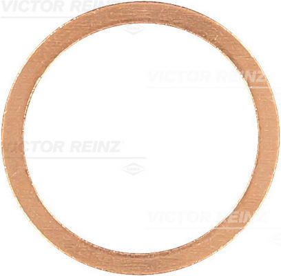 Afdichtring Reinz 41-70481-00
