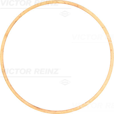 Cilinderkop pakking Reinz 61-23550-00