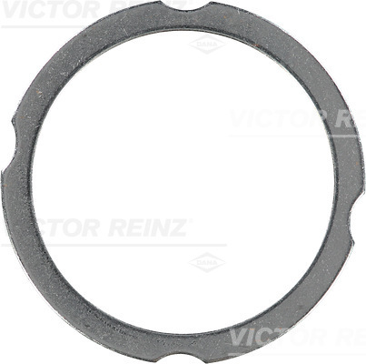 Cilinderkop pakking Reinz 61-38260-00