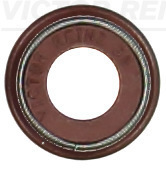 Klepsteeldichting Reinz 70-11005-00