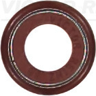 Klepsteeldichting Reinz 70-11094-00