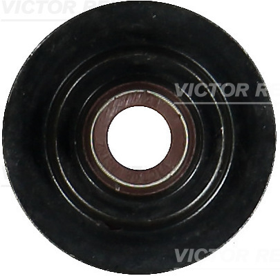 Klepsteeldichting Reinz 70-11431-00