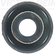 Klepsteeldichting Reinz 70-12819-00