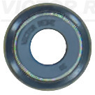 Klepsteelpakking Reinz 70-13109-00