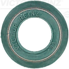 Klepsteeldichting Reinz 70-25247-00