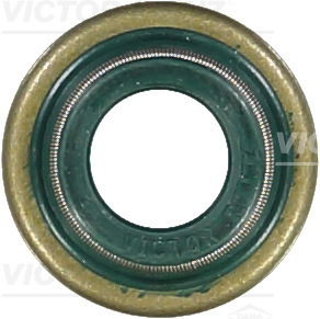 Klepsteeldichting Reinz 70-34944-00