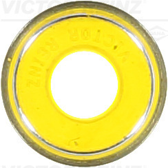 Klepsteeldichting Reinz 70-37102-00