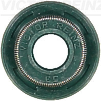 Klepsteeldichting Reinz 70-37969-00
