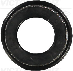 Klepsteeldichting Reinz 70-41471-00