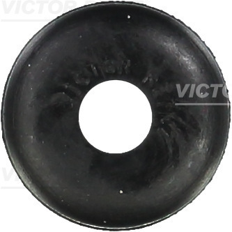 Klepsteeldichting Reinz 70-45143-00