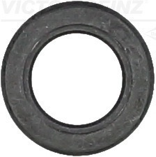 Klepsteeldichting Reinz 70-93422-10