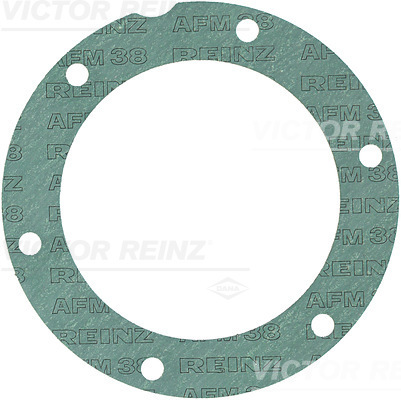 Carter pakking Reinz 71-20874-00