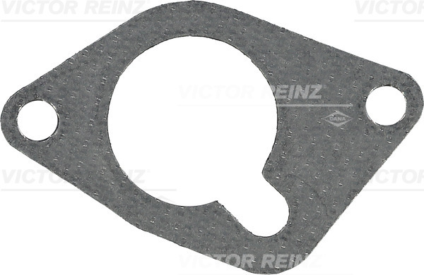 Inlaatspruitstukpakking Reinz 71-35846-00