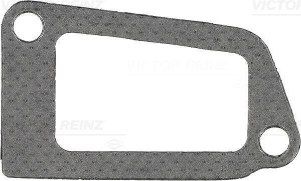 Inlaatspruitstukpakking Reinz 71-41619-00
