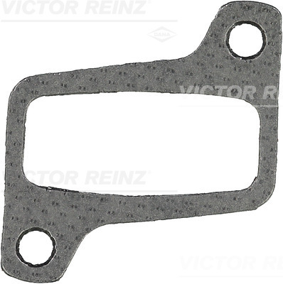 Uitlaatpakking Reinz 71-41769-00