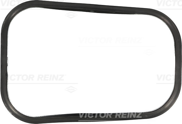 Carter pakking Reinz 71-42479-00