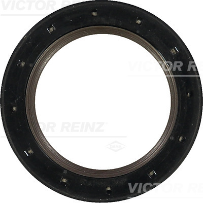 Nokkenas keerring Reinz 81-10413-00