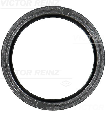 Nokkenas keerring Reinz 81-10481-00