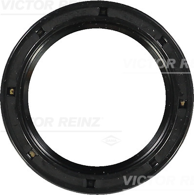 Nokkenas keerring Reinz 81-15855-00