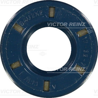Nokkenas keerring Reinz 81-17193-00