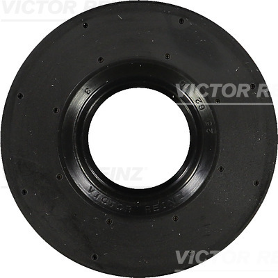 Nokkenas keerring Reinz 81-17216-20