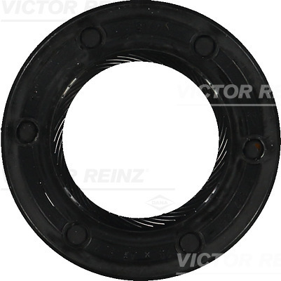 Nokkenas keerring Reinz 81-24056-00