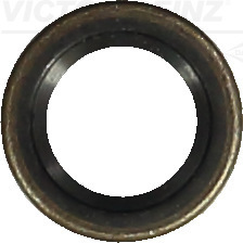 Nokkenas keerring Reinz 81-25545-00