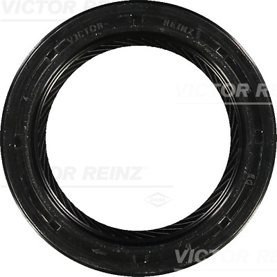 Nokkenas keerring Reinz 81-26244-10