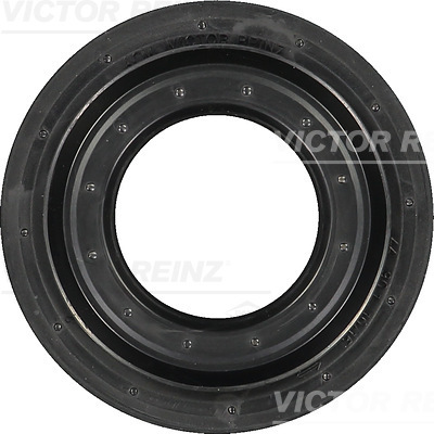 Nokkenas keerring Reinz 81-31193-00