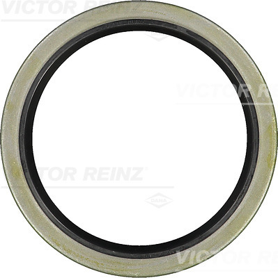 Nokkenas keerring Reinz 81-33850-00