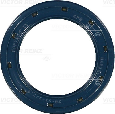 Nokkenas keerring Reinz 81-35069-00