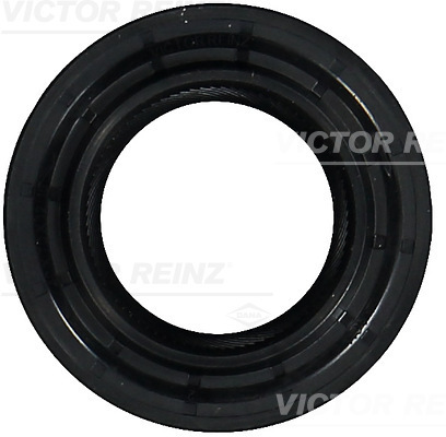 Nokkenas keerring Reinz 81-35073-00