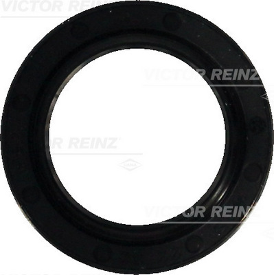 Nokkenas keerring Reinz 81-35298-00