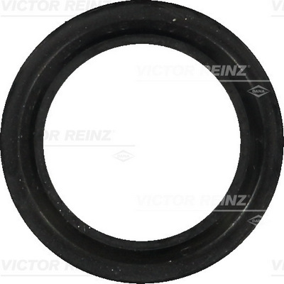 Nokkenas keerring Reinz 81-35304-00