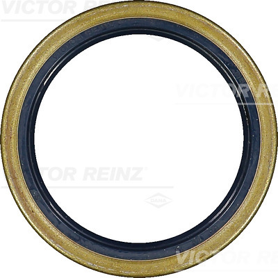 Nokkenas keerring Reinz 81-40187-00