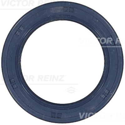 Nokkenas keerring Reinz 81-53243-00