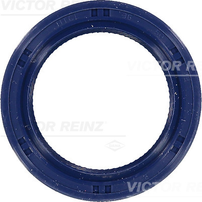 Nokkenas keerring Reinz 81-53251-00