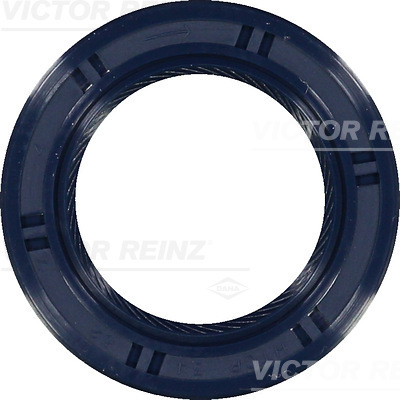 Nokkenas keerring Reinz 81-53491-00