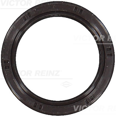 Nokkenas keerring Reinz 81-53582-00